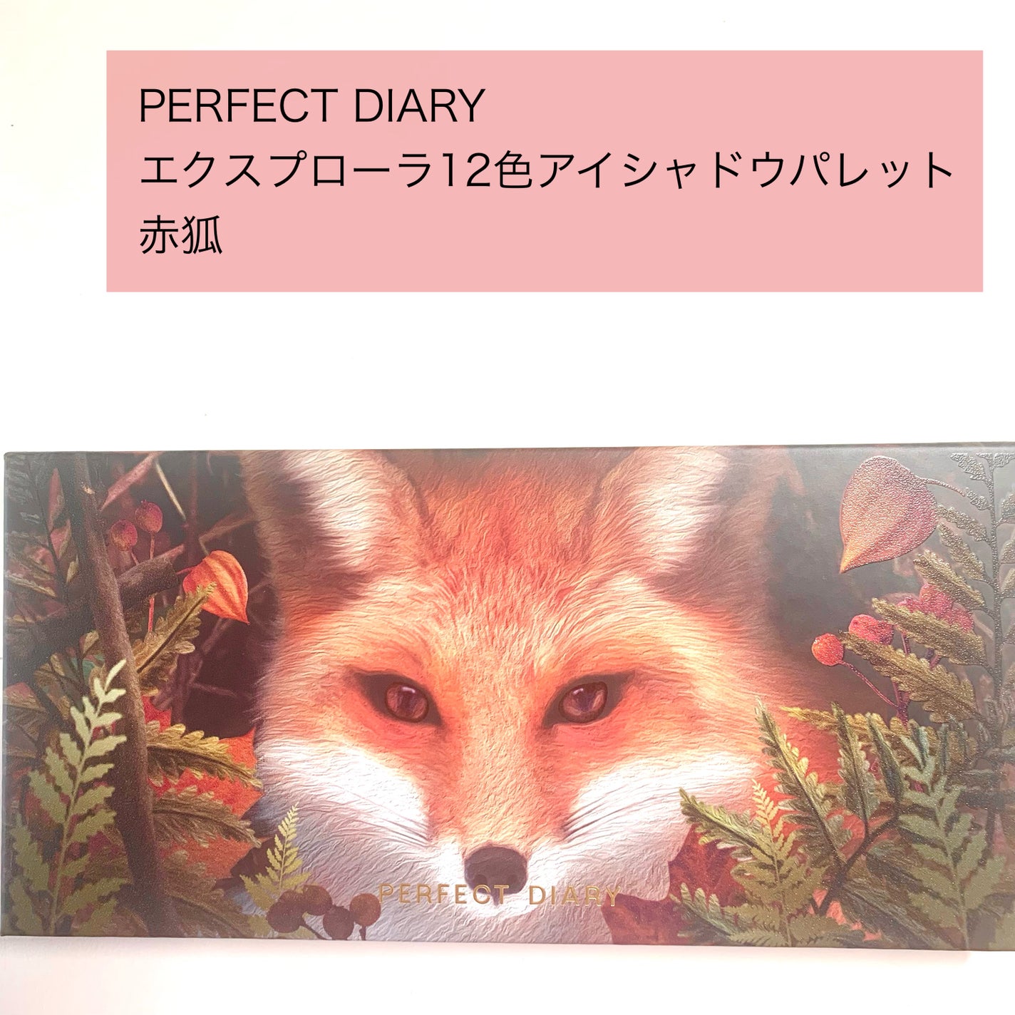 エクスプローラ12色 動物アイシャドウパレット/PERFECT DIARY/アイシャドウパレットを使ったクチコミ(2枚目)