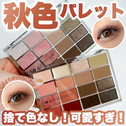 ソフトブラーリングアイパレット/wakemake/アイシャドウパレットを使ったクチコミ(1枚目)