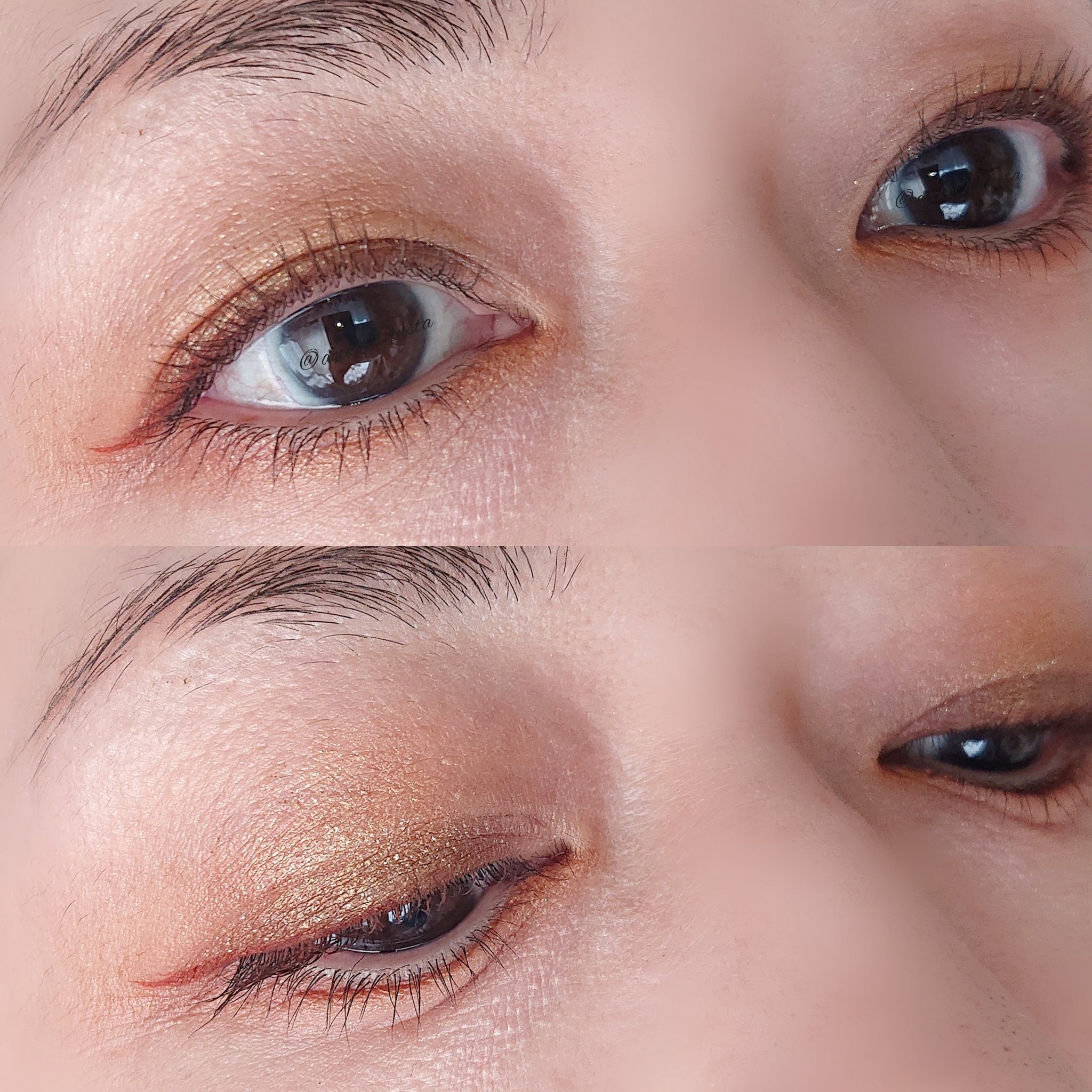 シグニチャー カラー アイズ/SUQQU/アイシャドウパレットを使ったクチコミ（2枚目）