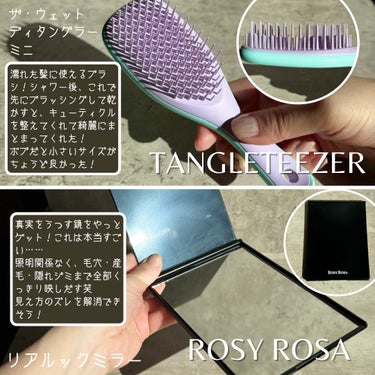 タングルティーザー ザ・アルティメットディタングラー ミニ ウィステリアリーフ/TANGLE TEEZER/ヘアブラシを使ったクチコミ（2枚目）