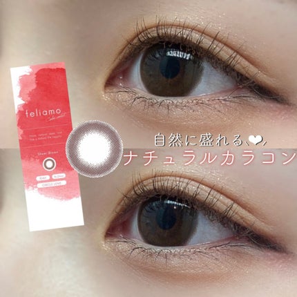 feliamo 1day/feliamo/ワンデー(1DAY)カラコンを使ったクチコミ(1枚目)