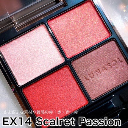 アイカラーレーション/LUNASOL/アイシャドウパレットを使ったクチコミ(3枚目)