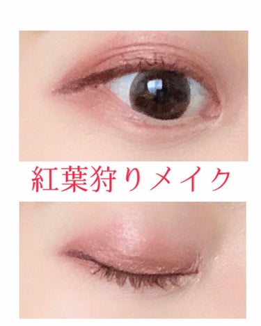 カラーステイ ルックス ブック パレット/REVLON/アイシャドウパレットを使ったクチコミ（1枚目）