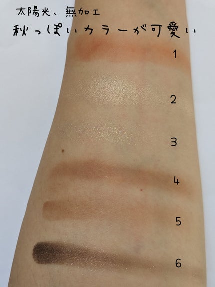 フォーエバー6アイパレット/Laka/アイシャドウパレットを使ったクチコミ(4枚目)