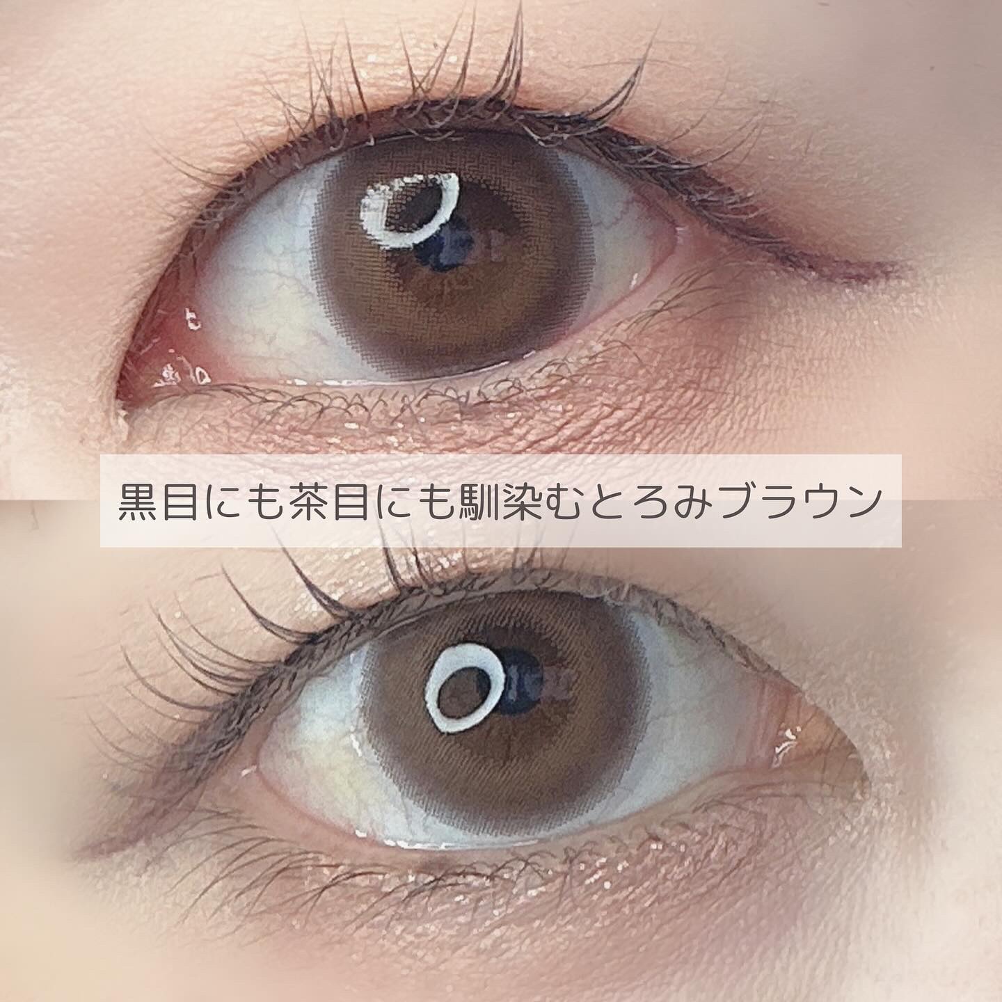 U.P.D. 1day/U.P.D./ワンデー（１DAY）カラコンを使ったクチコミ（3枚目）