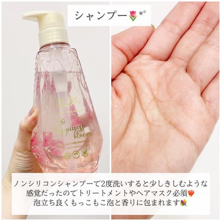 ã«ãããŒã¯ ãããã¹ãã«ãŒã ã·ã£ã³ããŒïŒããªãŒãã¡ã³ã/LUX/åžè²©ã·ã£ã³ããŒã䜿ã£ãã¯ãã³ãïŒ3æç®ïŒ