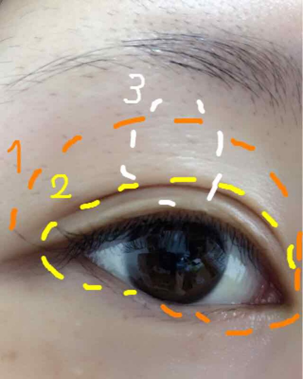 グラムシェード アイズ/Visée/アイシャドウパレットを使ったクチコミ(2枚目)