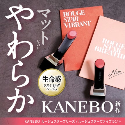 ルージュスターヴァイブラント/KANEBO/口紅を使ったクチコミ(1枚目)