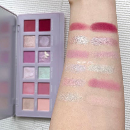 エクスプローラ12色 動物アイシャドウパレット/PERFECT DIARY/アイシャドウパレットを使ったクチコミ(3枚目)