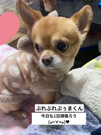 シャワージェル モリンガ /THE BODY SHOP/ボディソープを使ったクチコミ(4枚目)