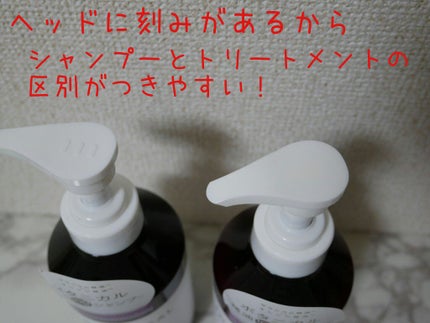 ボタニカルモイストシャンプー/モイストトリートメント/Balmy Stock/市販シャンプーを使ったクチコミ(2枚目)
