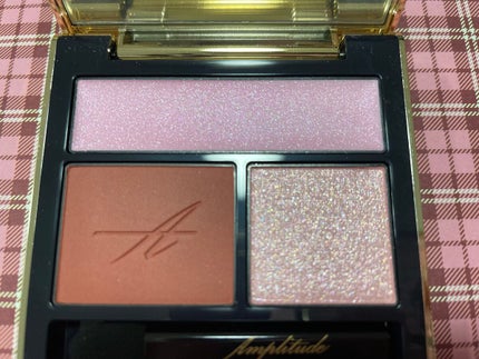 コンスピキュアス アイズ/Amplitude/アイシャドウパレットを使ったクチコミ(2枚目)