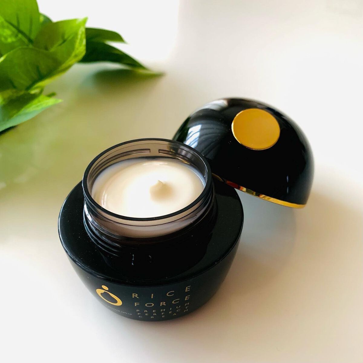 プレミアムパーフェクトクリーム/ライスフォース/フェイスクリームを使ったクチコミ(3枚目)