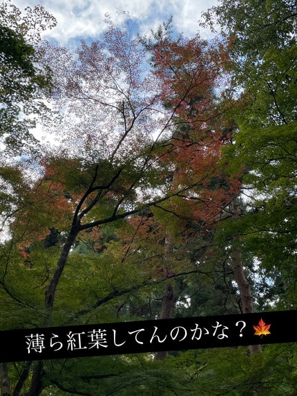 シャドウパレット/dasique/アイシャドウパレットを使ったクチコミ(7枚目)