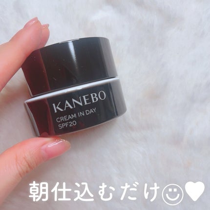 クリーム イン デイ/KANEBO/フェイスクリームを使ったクチコミ(1枚目)