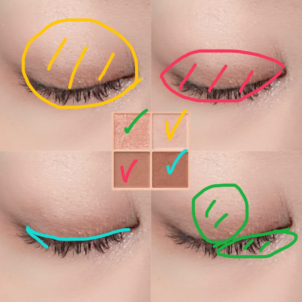 ベージュトーンアイシャドウ/CEZANNE/アイシャドウパレットを使ったクチコミ（2枚目）