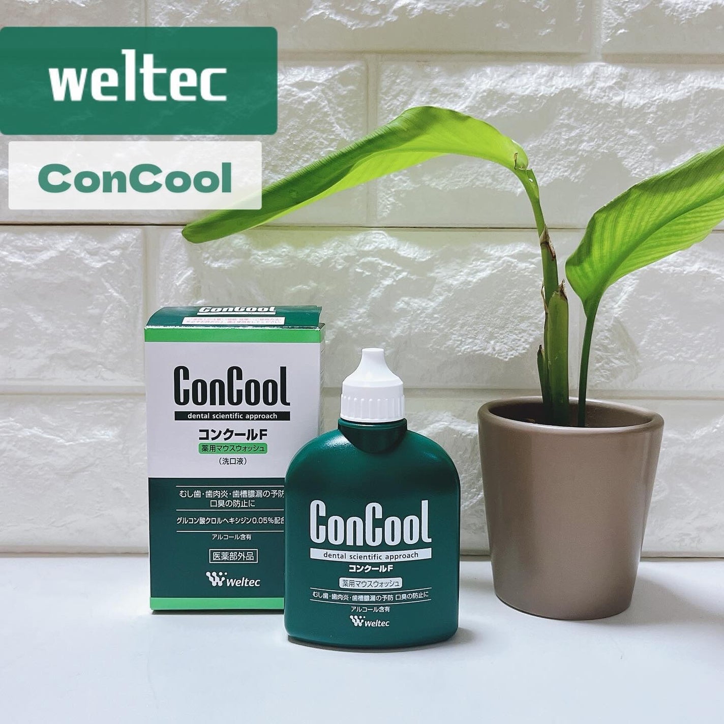 kchan on LIPS 「。・:+°。#PR・:+°。@weltec_jpさんに《コンク..」(1枚目)