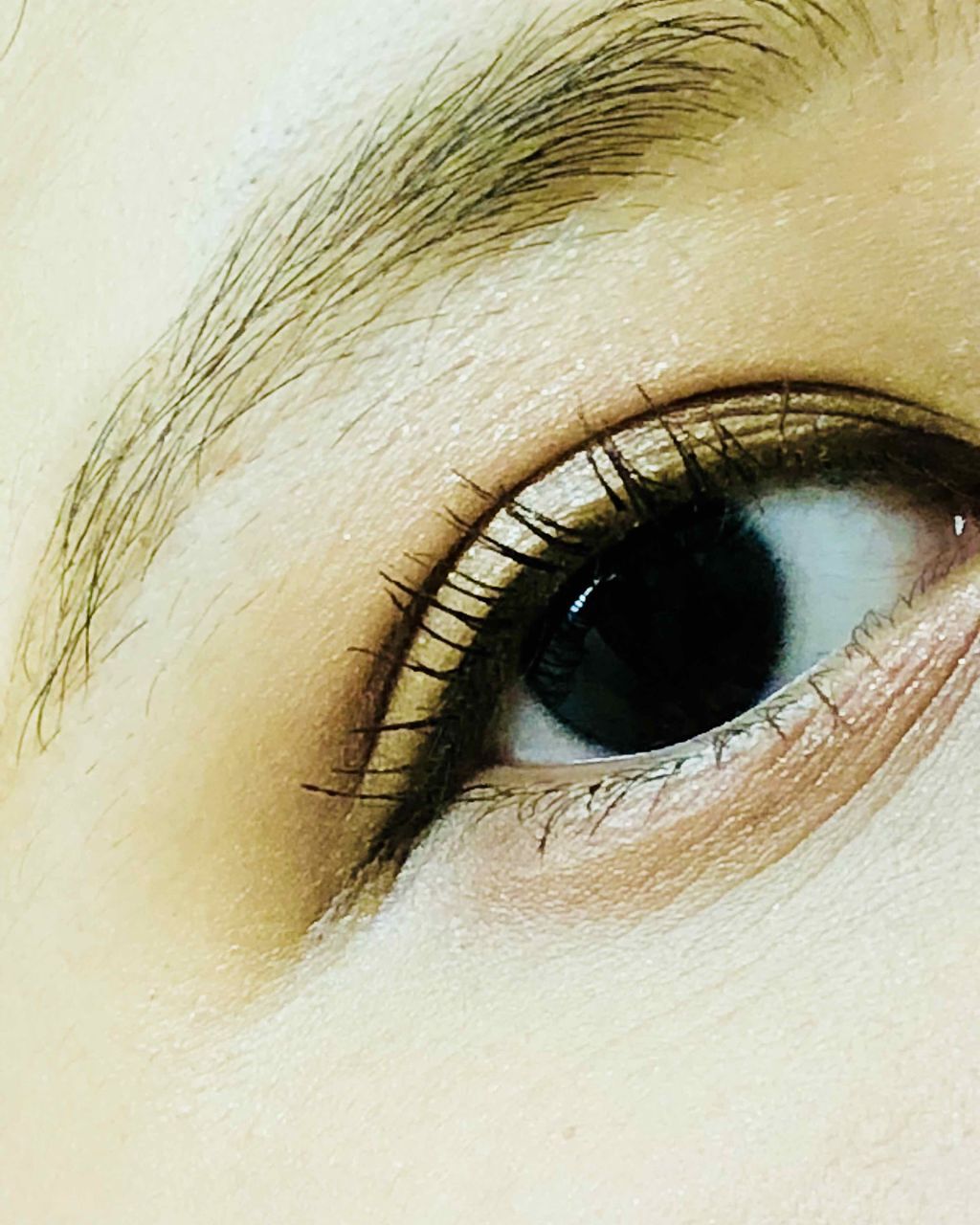 ナチュラルアイズ/マリブビューティー/アイシャドウパレットを使ったクチコミ(1枚目)