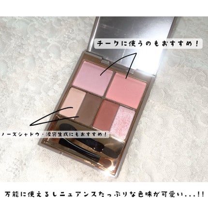 アミュレットカラーアイズ/rainymell/アイシャドウパレットを使ったクチコミ(3枚目)