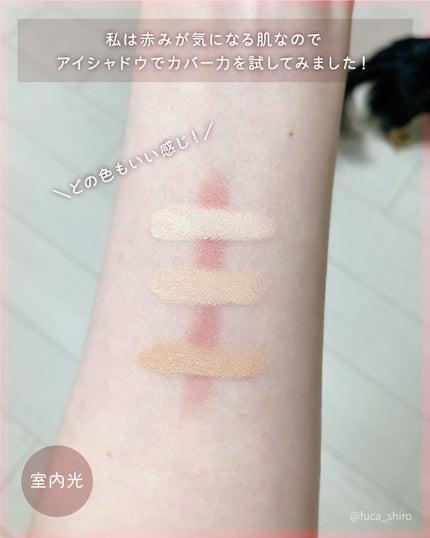 カバーアッププロコンシーラー/TFIT/パレットコンシーラーを使ったクチコミ(4枚目)
