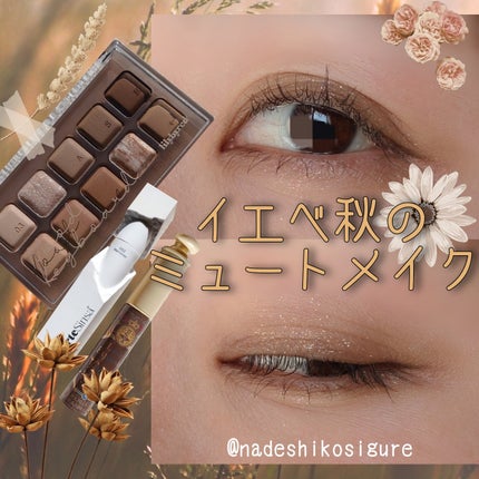 アイシャドウベース/キャンメイク/アイシャドウベースを使ったクチコミ(1枚目)