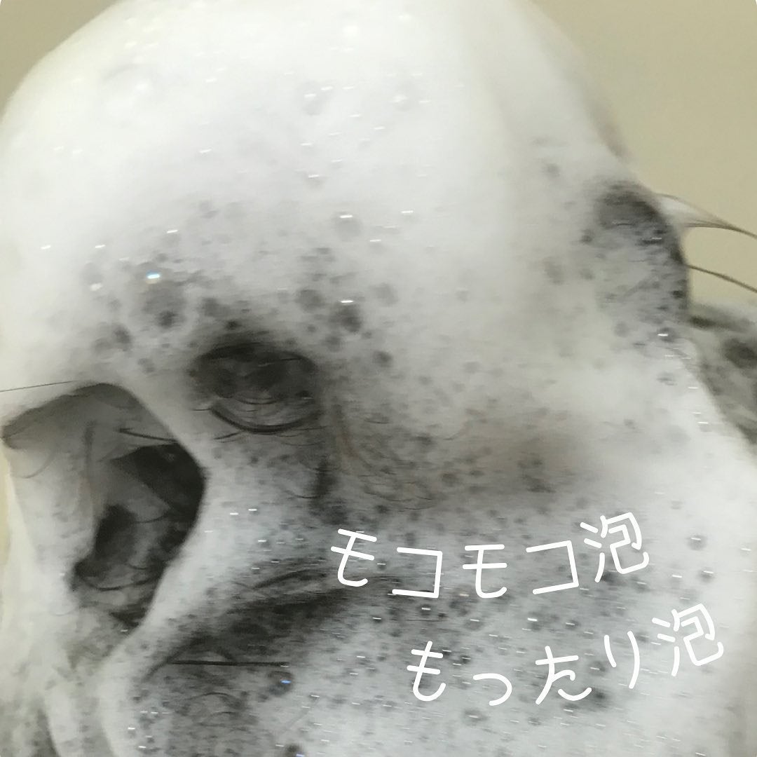 アクアインテンシブ シャンプー/トリートメント/サブリミック/サロンシャンプーを使ったクチコミ(3枚目)