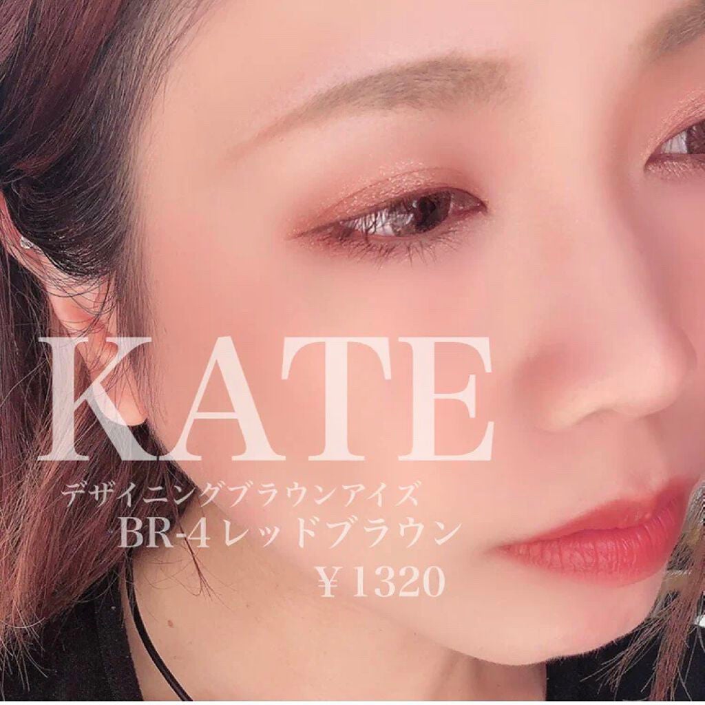 デザイニングブラウンアイズ/KATE/アイシャドウパレットを使ったクチコミ(8枚目)