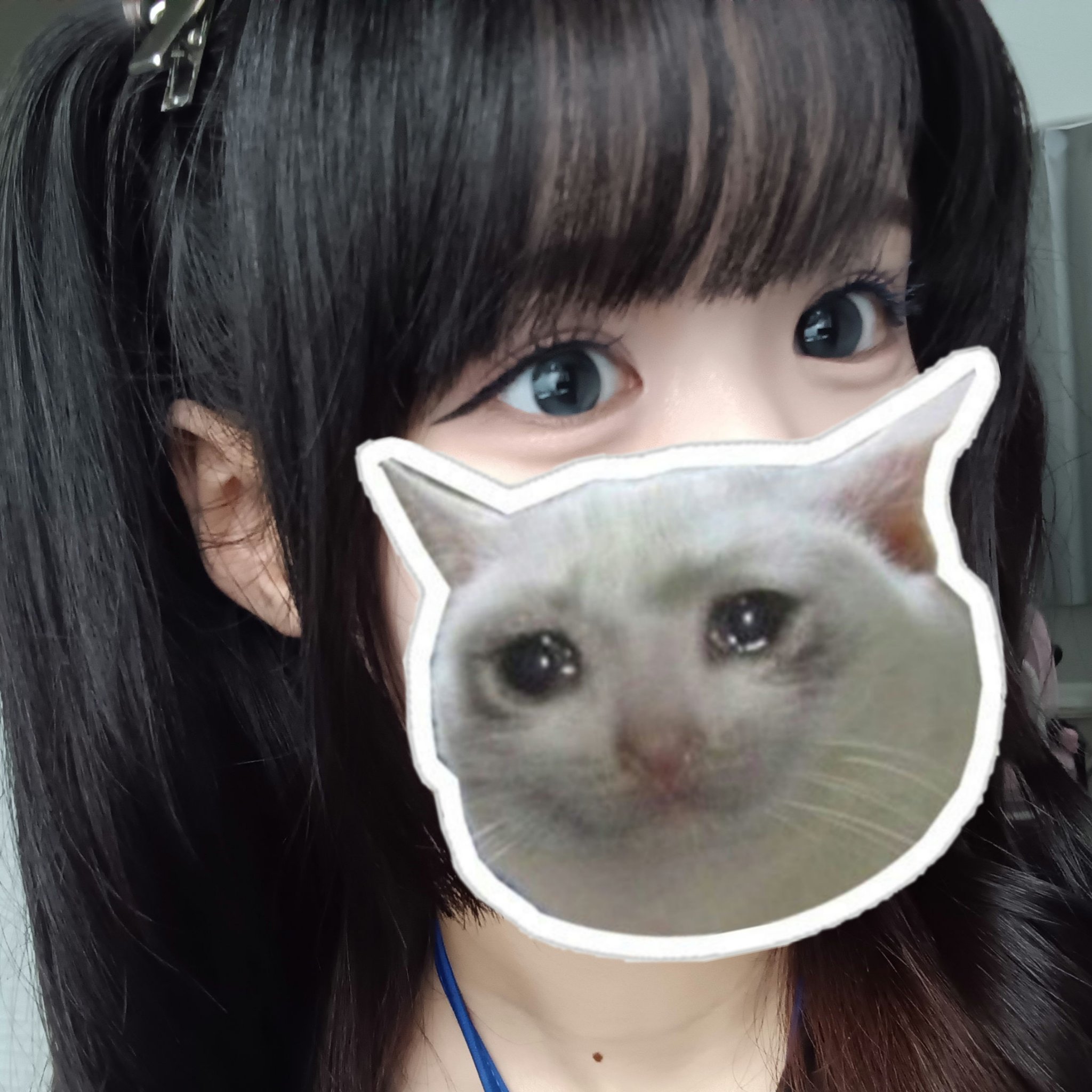 MOLAK 1day/MOLAK/ワンデー（１DAY）カラコンを使ったクチコミ（1枚目）