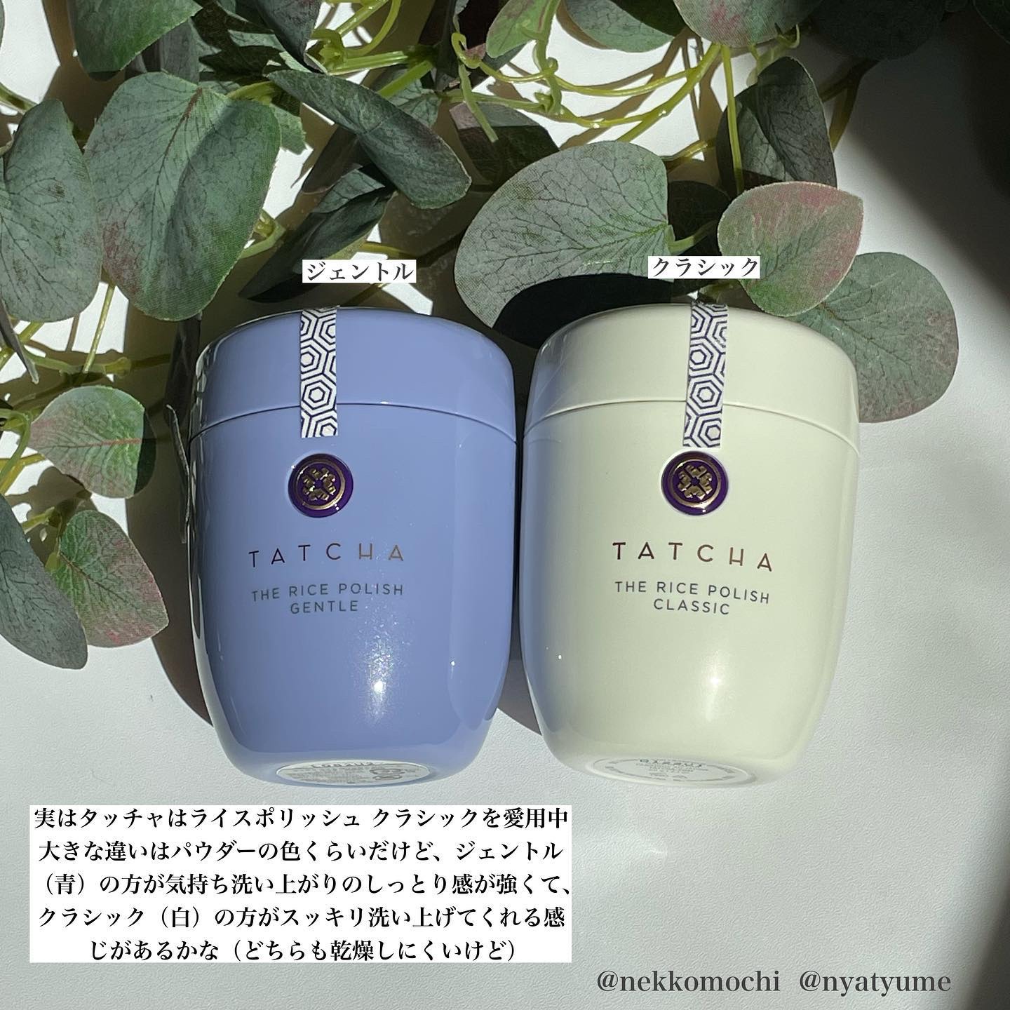 ライスポリッシュジェントル/タッチャ/洗顔パウダーを使ったクチコミ（3枚目）