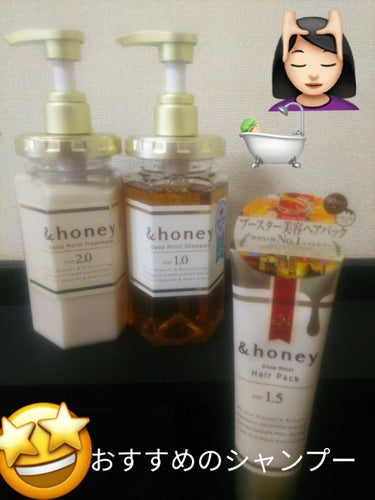 ディープモイスト シャンプー1.0／ヘアトリートメント2.0/&honey/シャンプー・コンディショナーを使ったクチコミ（1枚目）