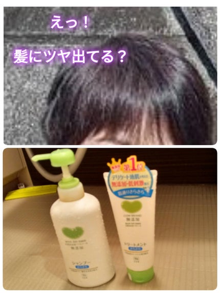 シャンプー・トリートメント さらさら/カウブランド無添加/シャンプー・コンディショナーを使ったクチコミ(1枚目)