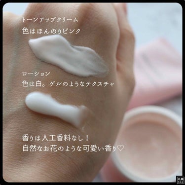 チェジュ チェリーブロッサム トーンアップクリーム/innisfree/化粧下地を使ったクチコミ（2枚目）