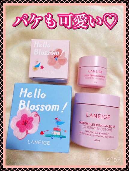 ウォータースリーピングパック EX/LANEIGE/フェイスクリームを使ったクチコミ(2枚目)