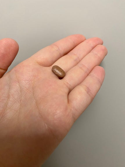 メタグリーンスリムアップ/VITALBEAUTIE/ボディサプリメントを使ったクチコミ(2枚目)