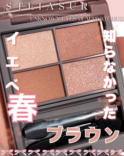 ã¢ã³ããŠã³ã¢ã€ãº/STEIASURïŒã¹ãã€ã¢ã·ã¥ãŒã«ïŒ/ã¢ã€ã·ã£ããŠãã¬ããã䜿ã£ãã¯ãã³ãïŒ1æç®ïŒ