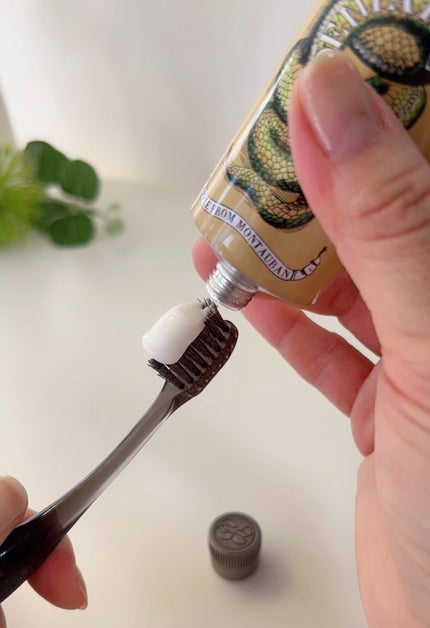 オピ・ダンテール ポム・ドゥ・モントバン/オフィシーヌ・ユニヴェルセル・ビュリー/歯磨き粉を使ったクチコミ(6枚目)