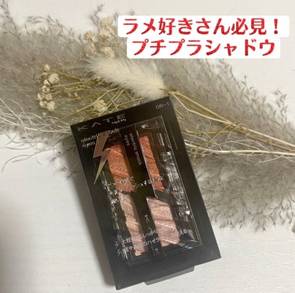 エレクトリックショックアイズ /KATE/アイシャドウパレットを使ったクチコミ(1枚目)