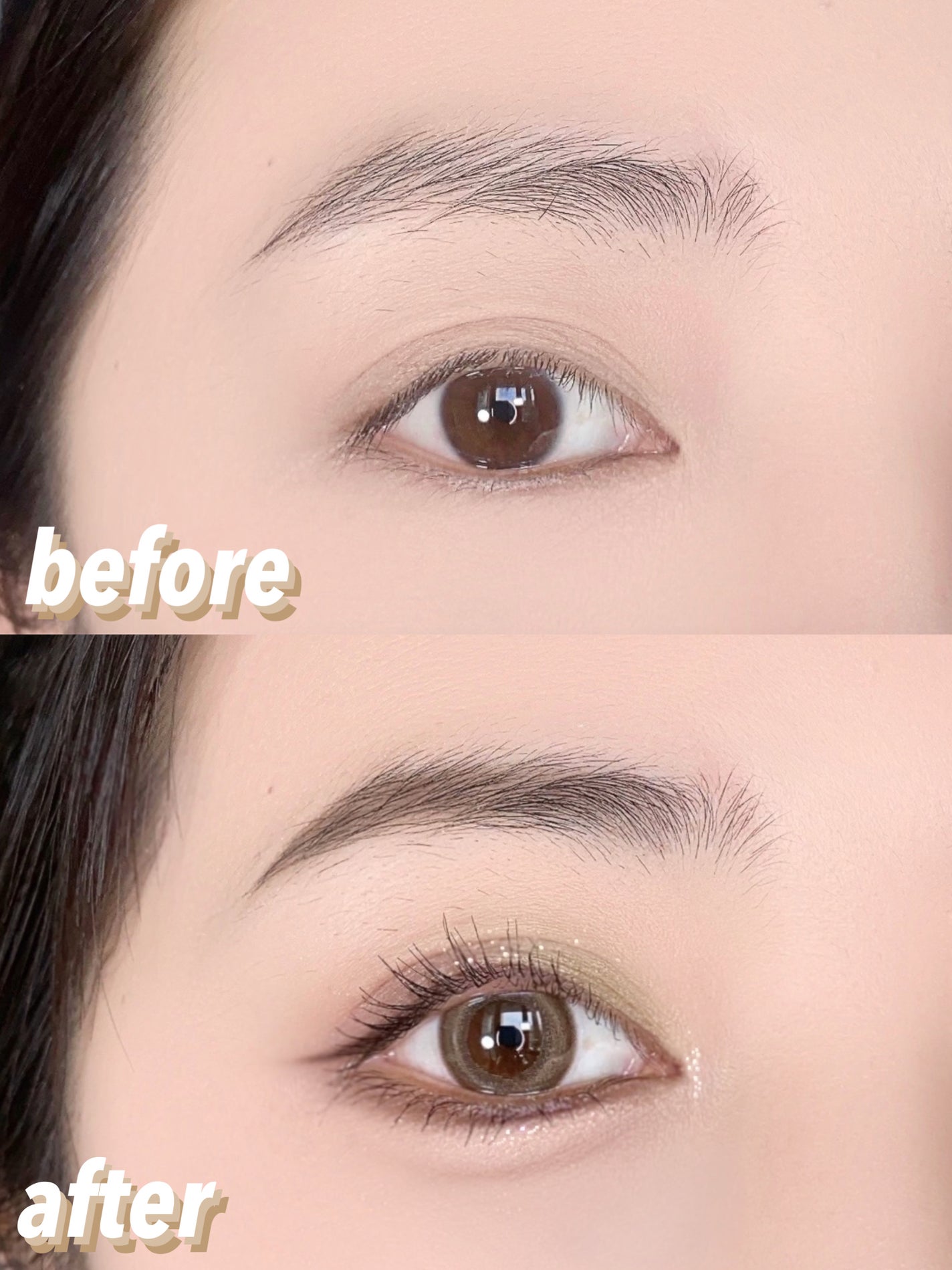 エクスプローラ12色 動物アイシャドウパレット/PERFECT DIARY/アイシャドウパレットを使ったクチコミ(2枚目)