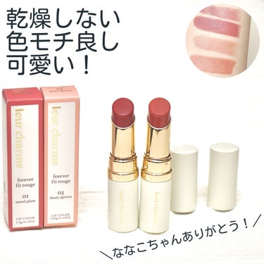 フォーエバー フィット ルージュ 01 mood plum(ムードプラム)/leur charme/口紅を使ったクチコミ（1枚目）