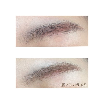 ノーズ&アイブロウパウダー/CEZANNE/パウダーアイブロウを使ったクチコミ(6枚目)