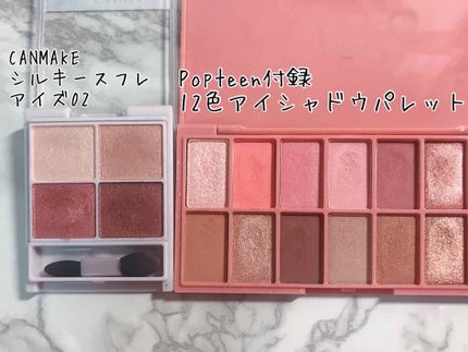 シルキースフレアイズ/キャンメイク/アイシャドウパレットを使ったクチコミ(2枚目)