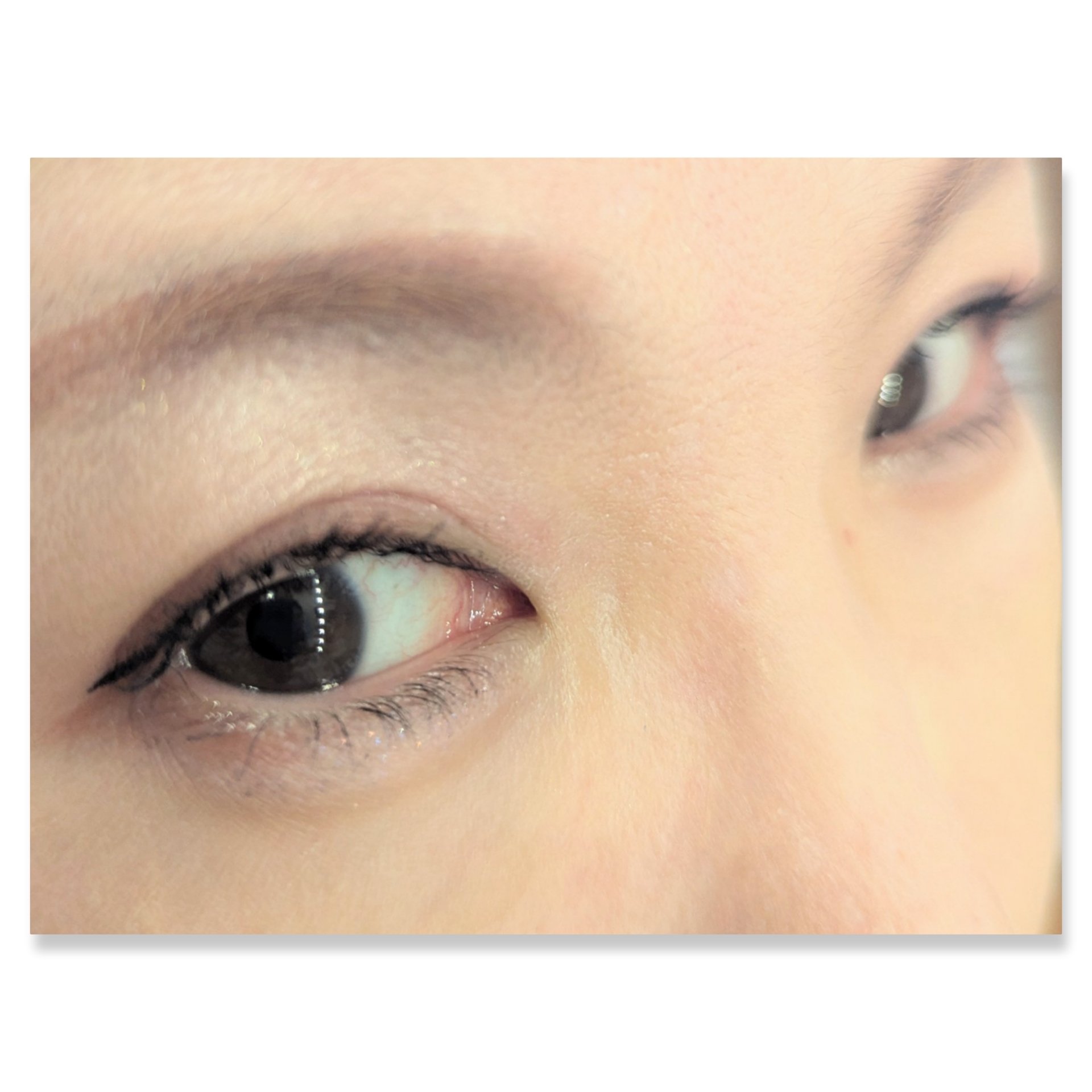 ベージュトーンアイシャドウ/CEZANNE/アイシャドウパレットを使ったクチコミ（2枚目）