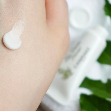 アイクリームプライマー/キャンメイク/アイシャドウベースを使ったクチコミ(2枚目)