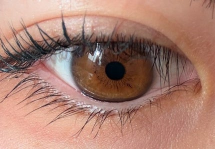 -ËËð¯ðŠð®ðŠð€ð©ð¢ð¯ ãã©ããããŸãðÂŽË- on LIPS ãããã¥ã©ã«ã ãã©æãç®ãªãã裞çŒä»¥äžã®ç³ãæŒåºâHARNE1d..ãïŒ6æç®ïŒ