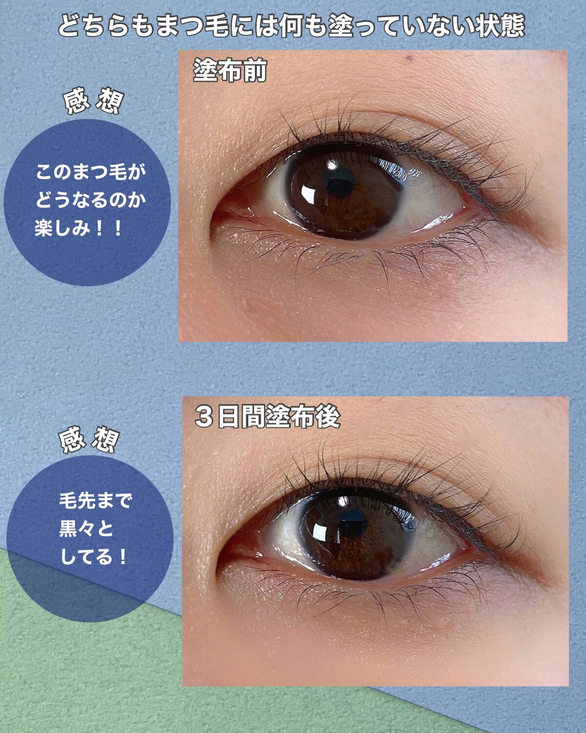 マジックティント/MAJOLICA MAJORCA/マスカラを使ったクチコミ(5枚目)