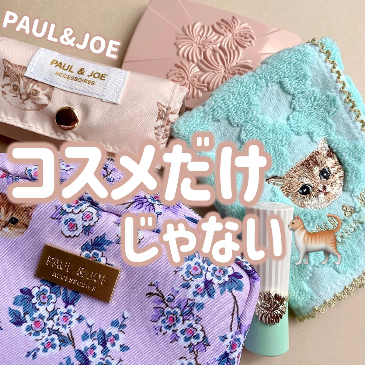 リップスティック/PAUL & JOE BEAUTE/口紅を使ったクチコミ(1枚目)