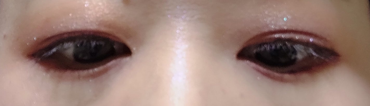 エンチャンテッド ナイト/CHANEL/アイシャドウパレットを使ったクチコミ(3枚目)