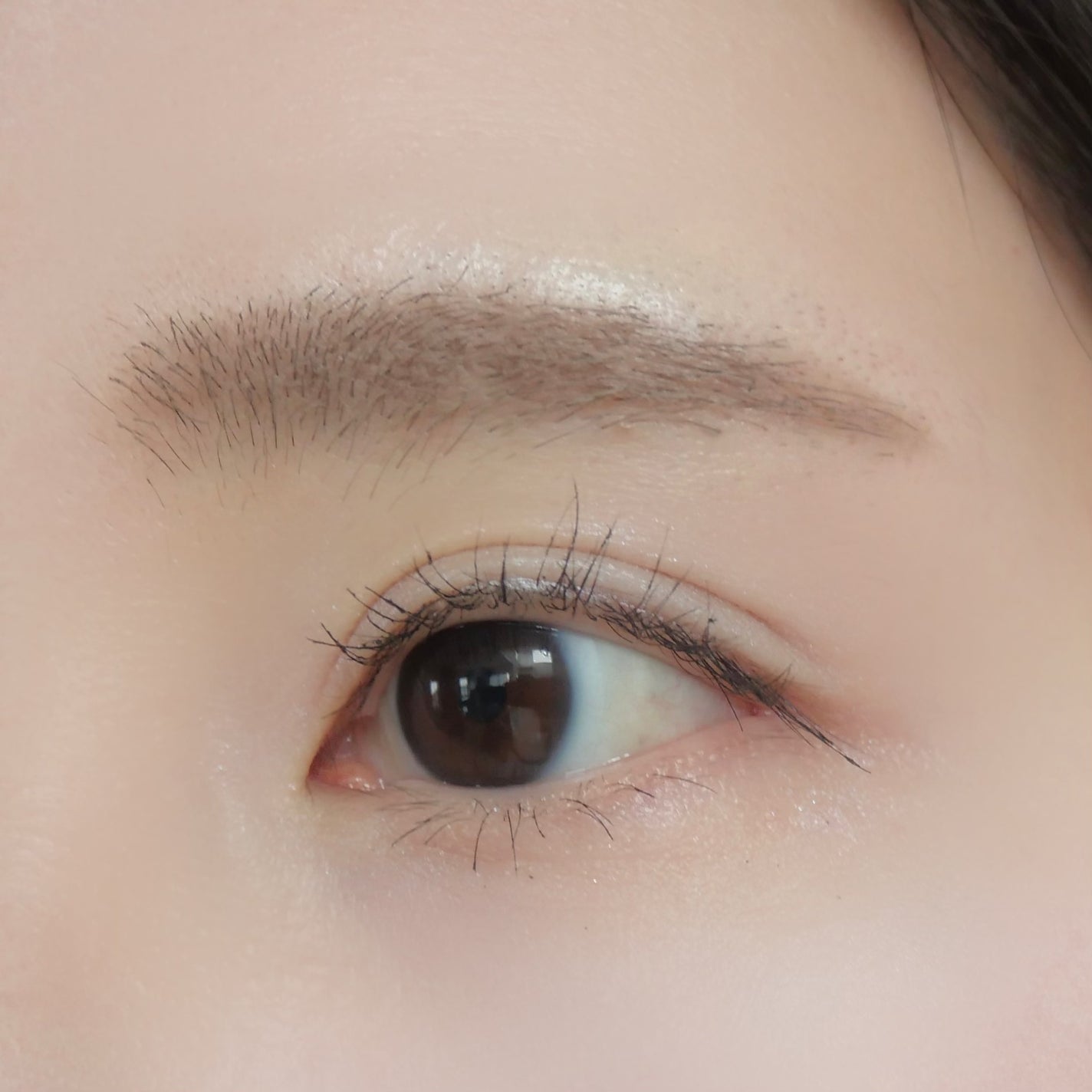 ハンオールブロウカラ/rom&nd/眉マスカラを使ったクチコミ(7枚目)