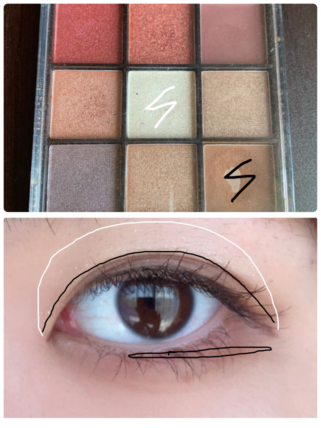 UR GLAM　BLOOMING EYE COLOR PALETTE/U R GLAM/アイシャドウパレットを使ったクチコミ（2枚目）