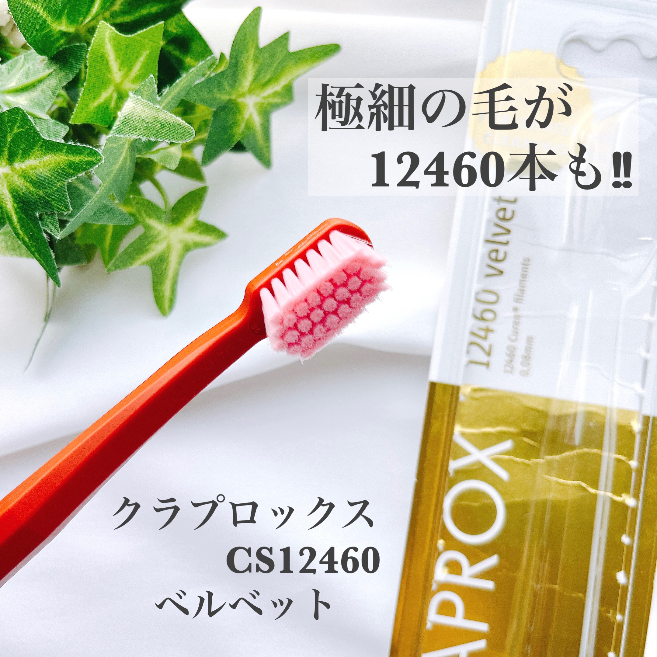 CS12460 ベルベット/CURAPROX/歯ブラシを使ったクチコミ（1枚目）